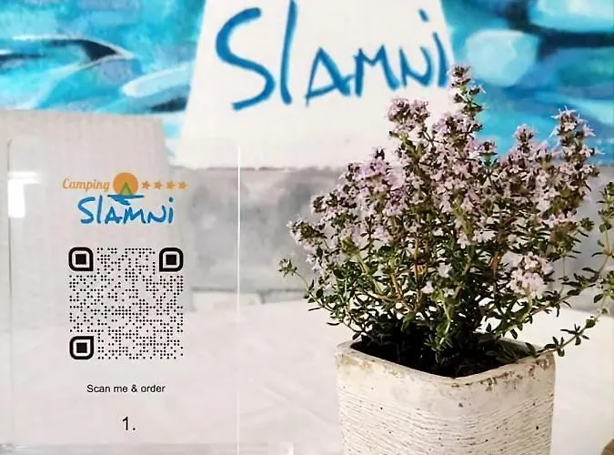 假日公园 克尔克移动之家假日公园